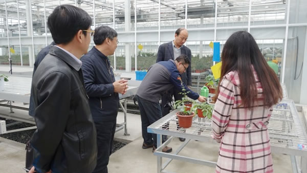 山東農業(yè)大學教授魏珉和李清明一行參觀考察AgriPheno平臺