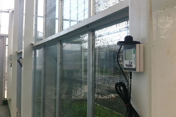 Spectrum 1450植物生長微型氣象站Agripheno玉米溫室應(yīng)用實例3.jpg Spectrum 1450植物生長微型氣象站Agripheno玉米溫室應(yīng)用實例3.jpg